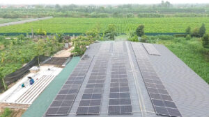 Điện mặt trời nhà xưởng