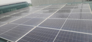 1kWp điện mặt trời tại Phú Thọ tạo ra bao nhiêu điện? Áp dụng thực tế cho trang trại gà