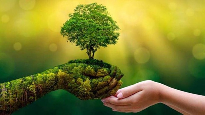 Năng lượng xanh là gì?