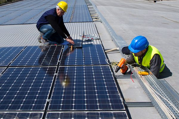 Nhu cầu lắp điện mặt trời cho trang trại chăn nuôi