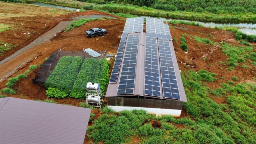 Vì sao ngành nông nghiệp tiêu thụ nhiều điện năng?