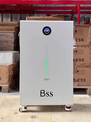 Pin lưu trữ BSS là gì?
