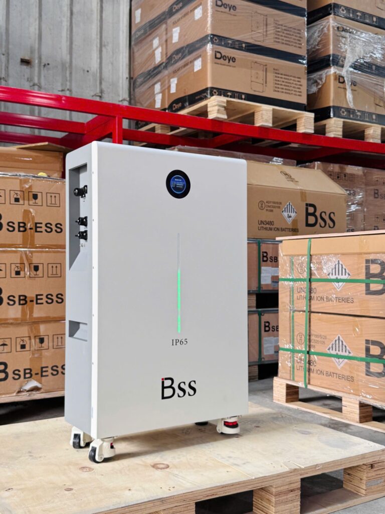 Pin lưu trữ BSS