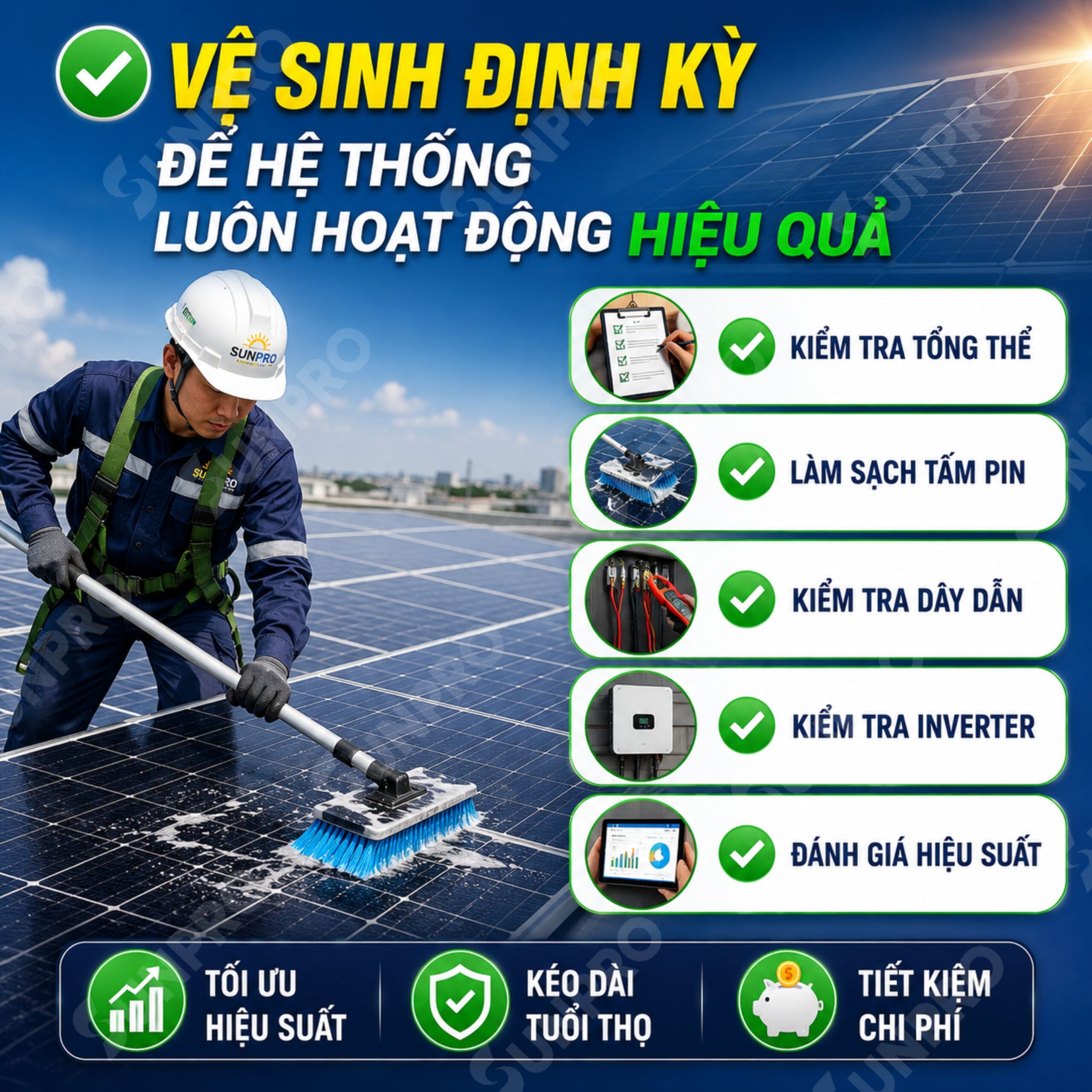 Làm sao để hạn chế chim làm hỏng tấm pin mặt trời?